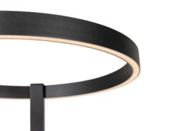 Vloerlamp 38W LED, Dimbaar Zwart -EGLO || Zuiver Verkoop fanlight arrow 61987