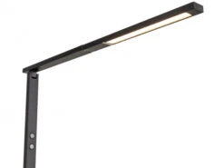 Leeslamp Pavi - Zwart Zwart -EGLO || Zuiver Verkoop fanlight pavi 62000