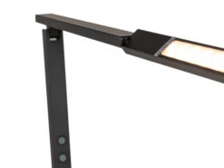 Leeslamp Pavi - Zwart Zwart -EGLO || Zuiver Verkoop fanlight pavi 62003