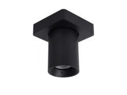 Plafondspot NIGEL 1x - Zwart Zwart -EGLO || Zuiver Verkoop lucide nigel 40054