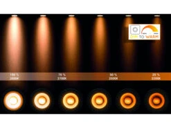 Plafondspot NIGEL 1x - Zwart Zwart -EGLO || Zuiver Verkoop lucide nigel 40057