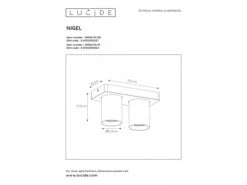 Plafondspot NIGEL 2x - Zwart Staal Rvs -EGLO || Zuiver Verkoop lucide nigel 40064