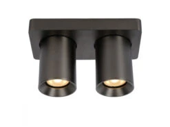Plafondspot NIGEL 2x - Zwart Staal Rvs -EGLO || Zuiver Verkoop lucide nigel 54730
