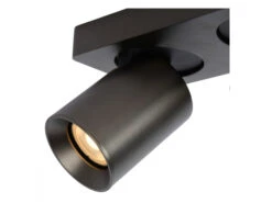 Plafondspot NIGEL 2x - Zwart Staal Rvs -EGLO || Zuiver Verkoop lucide nigel 54732