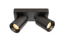 Plafondspot NIGEL 2x - Zwart Staal Rvs