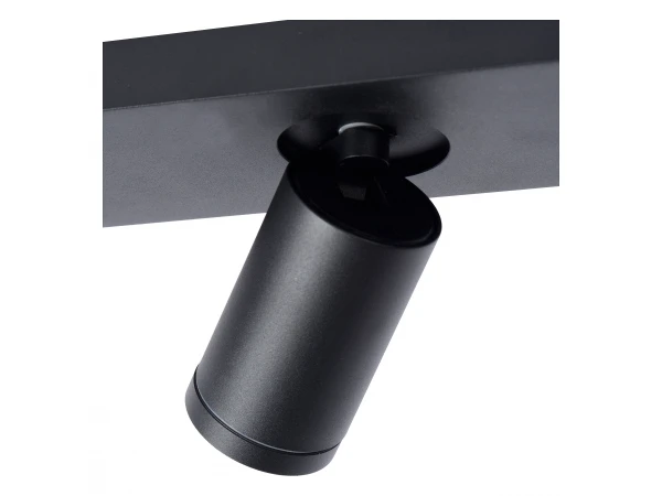 Plafondspot TAYLOR 2x - Zwart Zwart 4 Plafondspot TAYLOR 2x - Zwart Zwart - Afbeelding 4