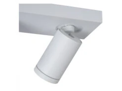 Plafondspot TAYLOR 2x - Wit Wit -EGLO || Zuiver Verkoop lucide taylor 40150