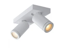 Plafondspot TAYLOR 2x - Wit Wit -EGLO || Zuiver Verkoop lucide taylor 40151