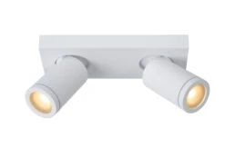 Plafondspot TAYLOR 2x - Wit Wit